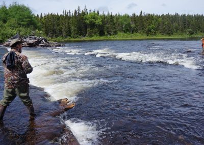 Newfoundland Salmon Fishing