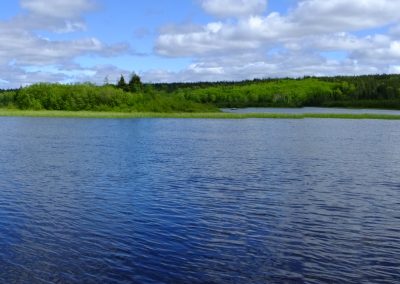 Newfoundland Lake