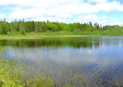 Newfoundland Lake