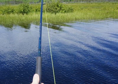 Newfoundland Fly Fishing