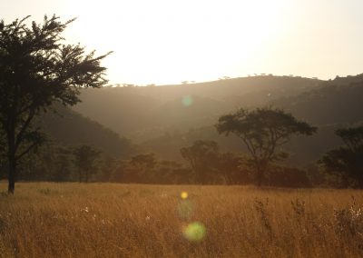 Africa Hunting